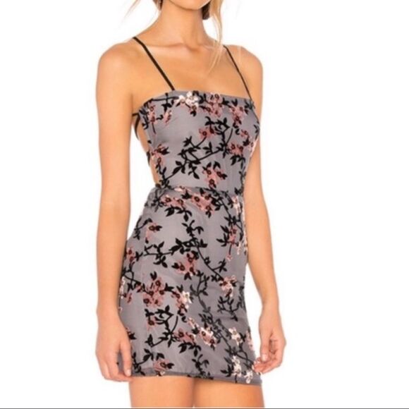 Whimsygoth Charcoal Moody Floral Burnout Sheer Mini Dress Medium - Picture 1 of 16